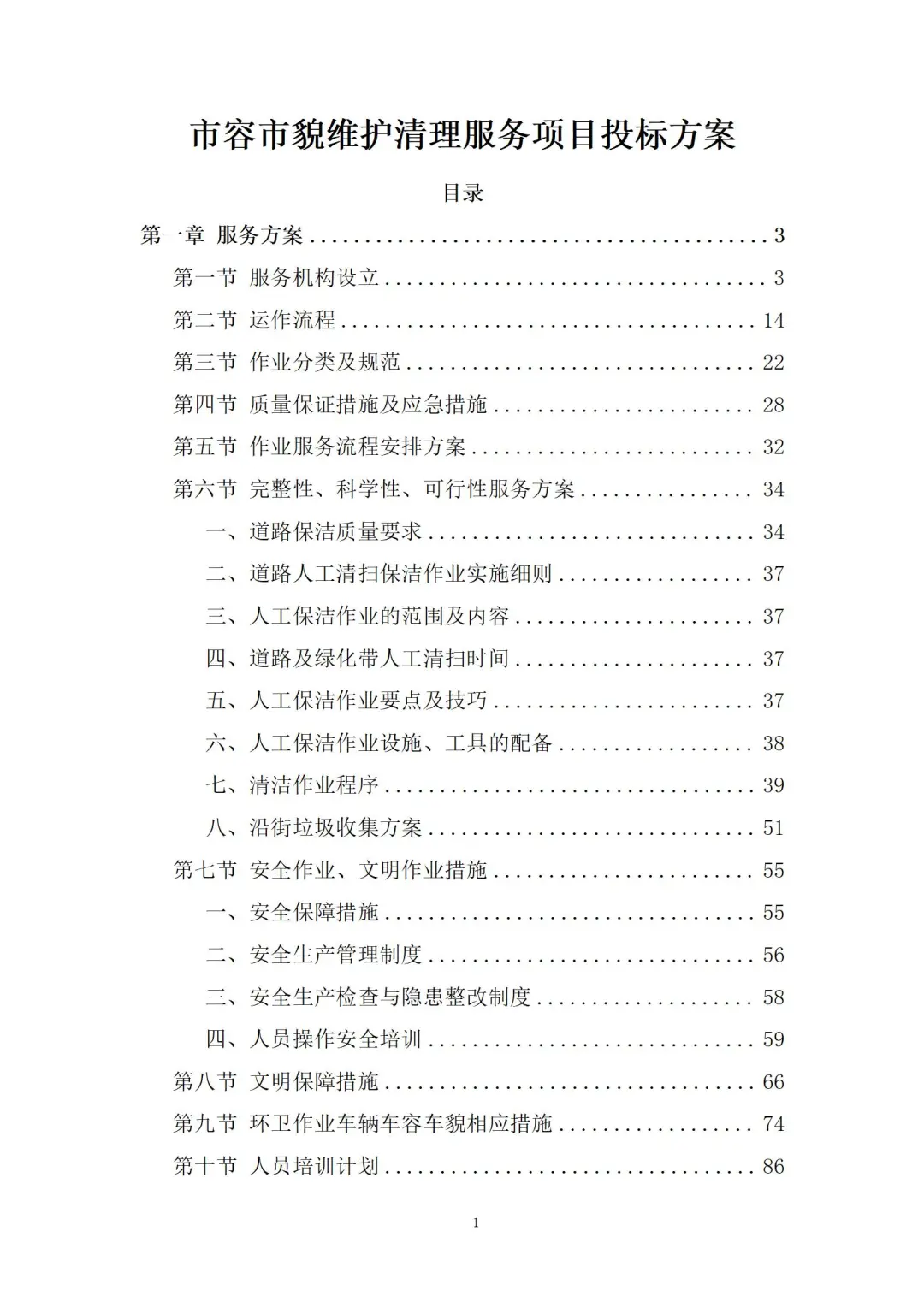 市容市貌维护清理服务项目投标方案 256页