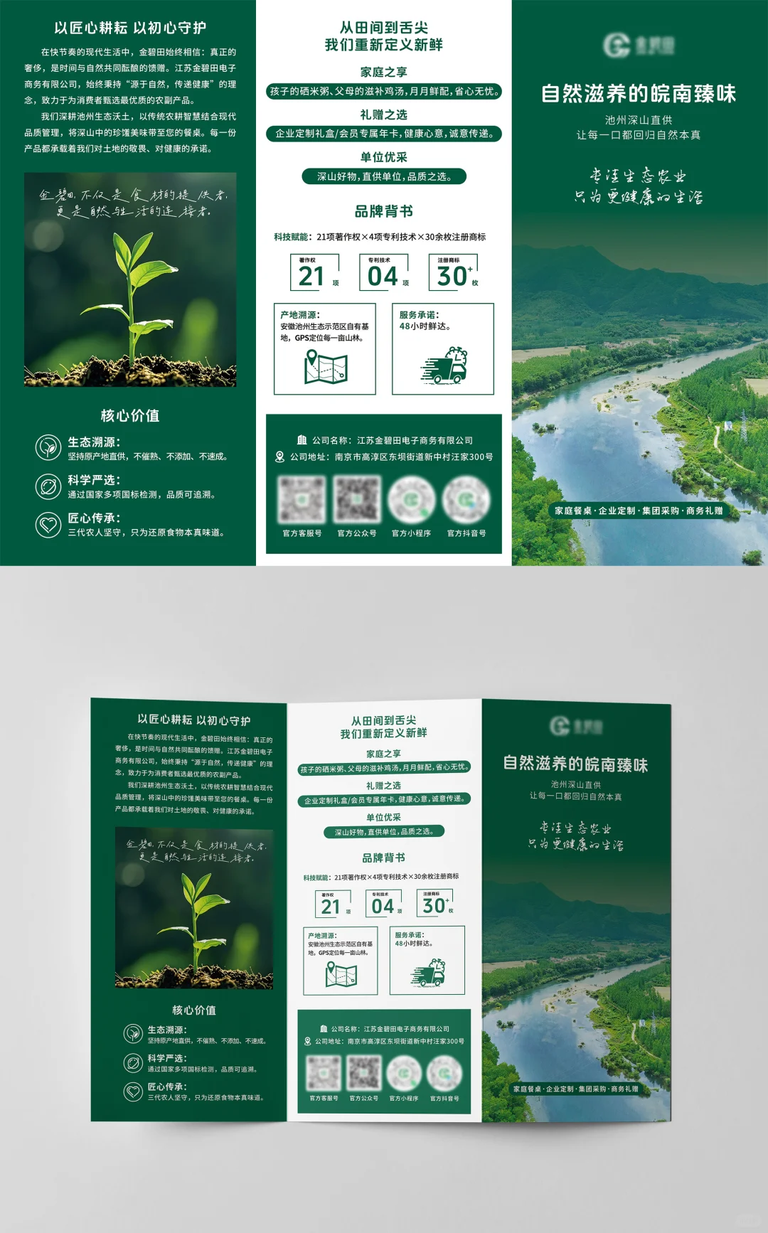 ?农产品三折页设计说明｜把自然搬进设计里