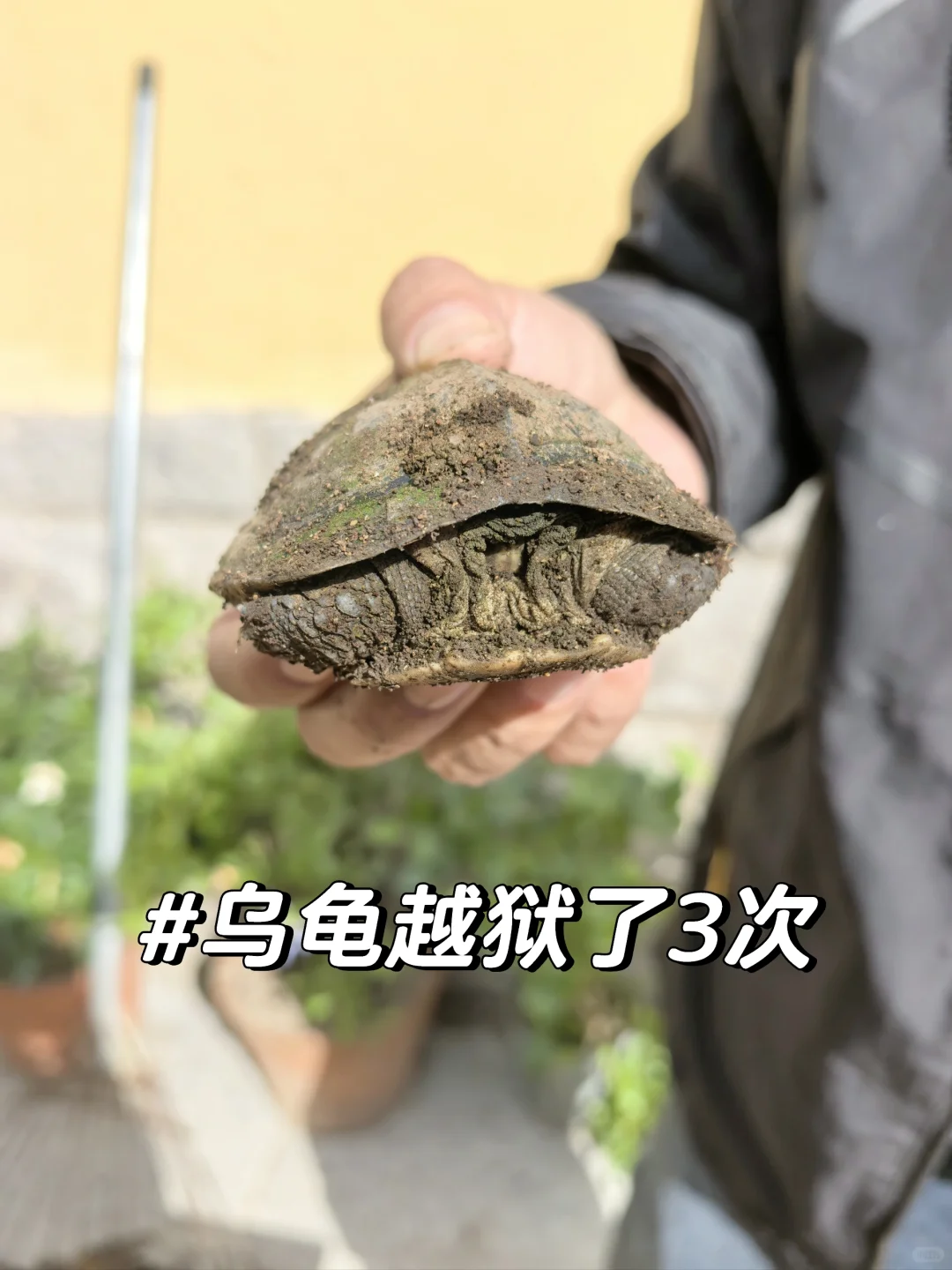 在青岛｜当我用1250/月租到心仪的崂山小院