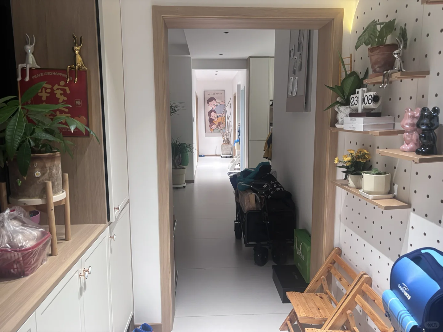 请教我做家务,收纳和整理。