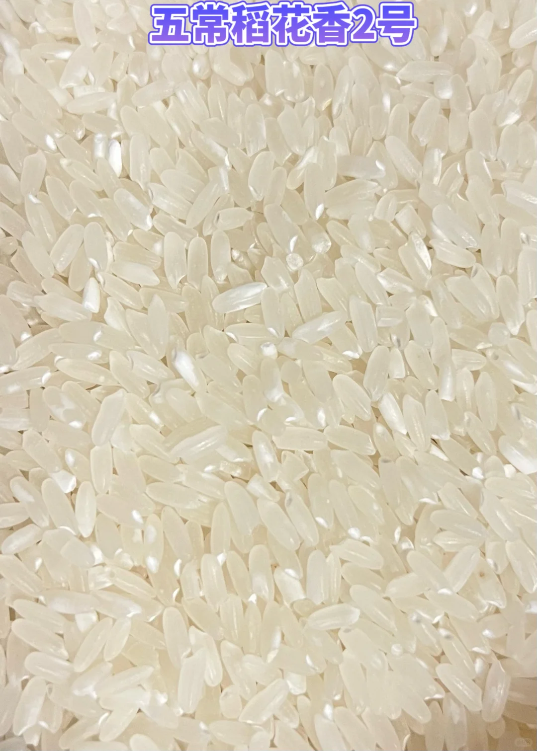 高价五常大米反而更省钱?算完这笔账我惊了