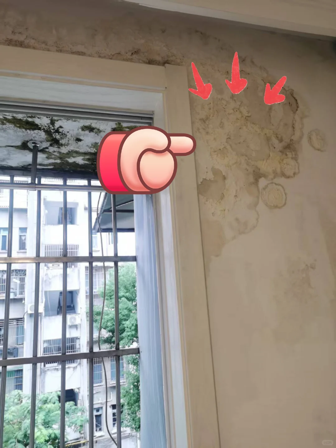 墙面发霉为什么不能直接刷漆?