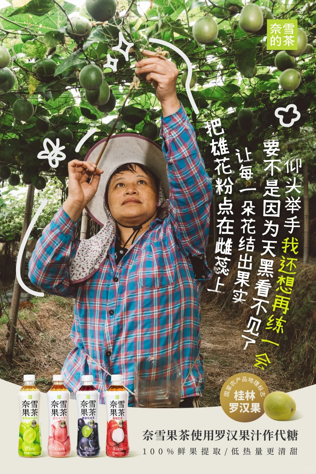 这瓶奈雪果茶,是他们种出来的