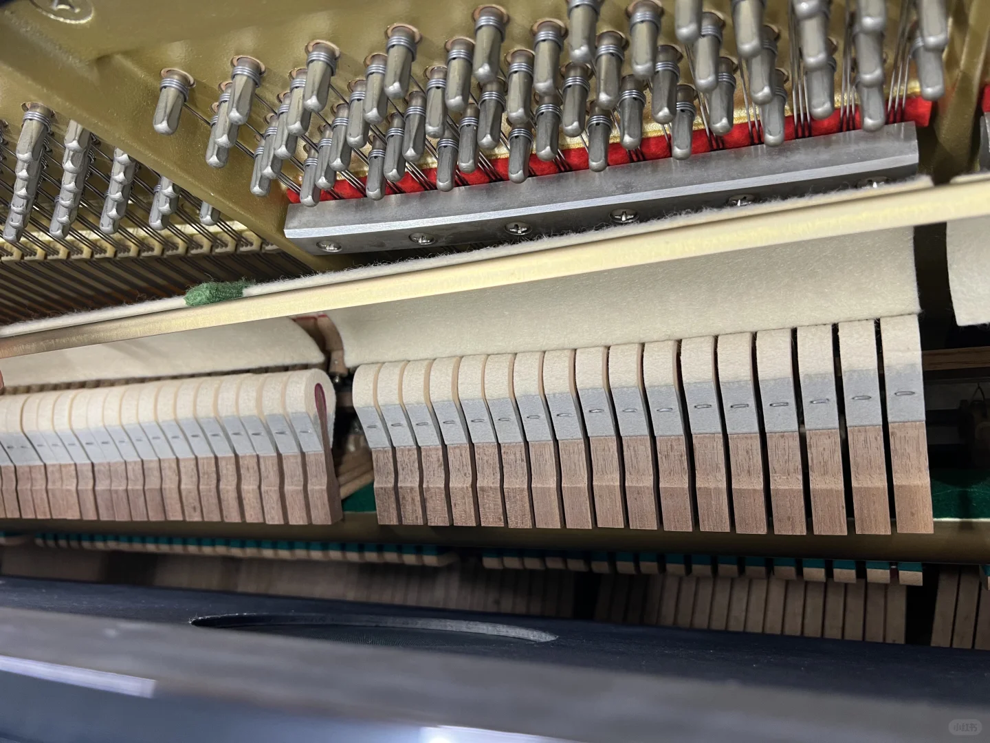 奥克兰 Yamaha UX30A