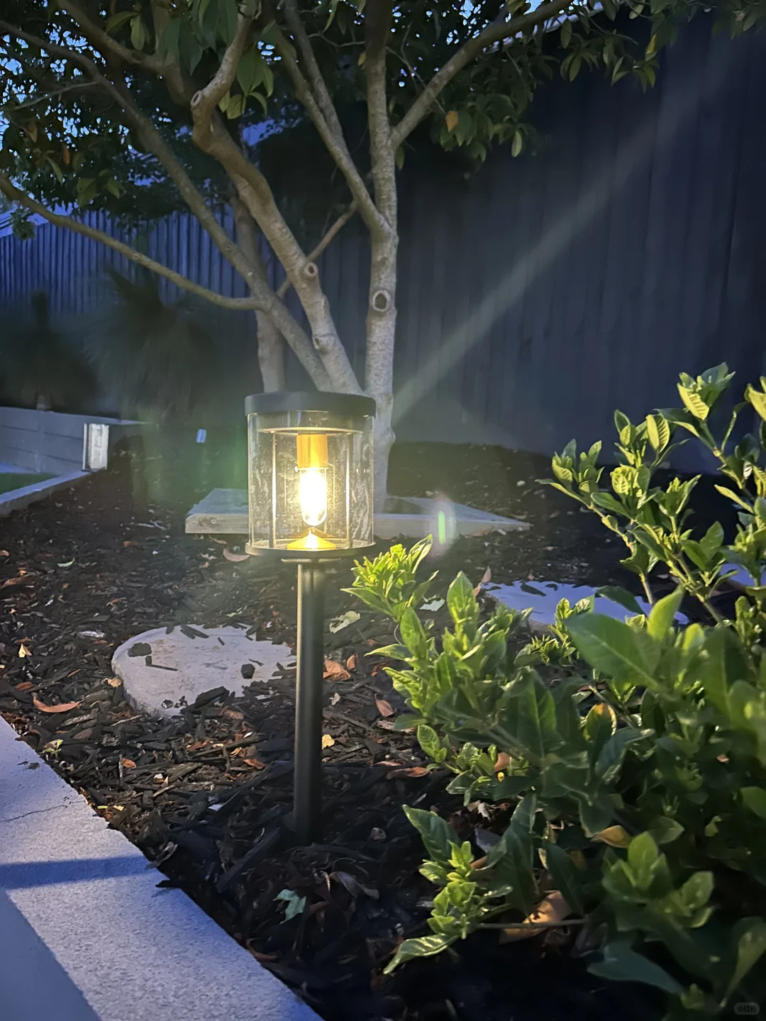 Costco的太阳能灯打折啦