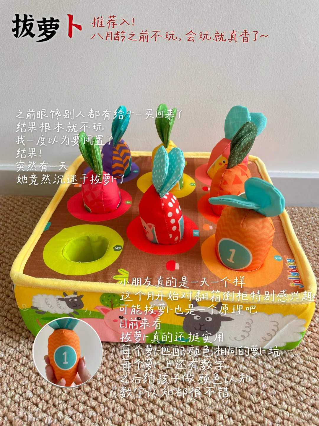 八月龄复盘﹆小月龄玩具合集?大朋友也爱玩
