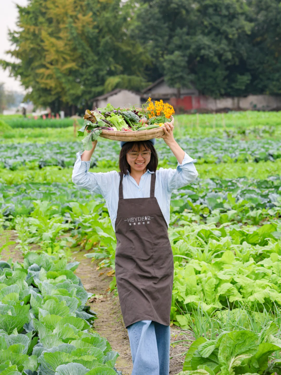 谁懂收菜的快乐啊？