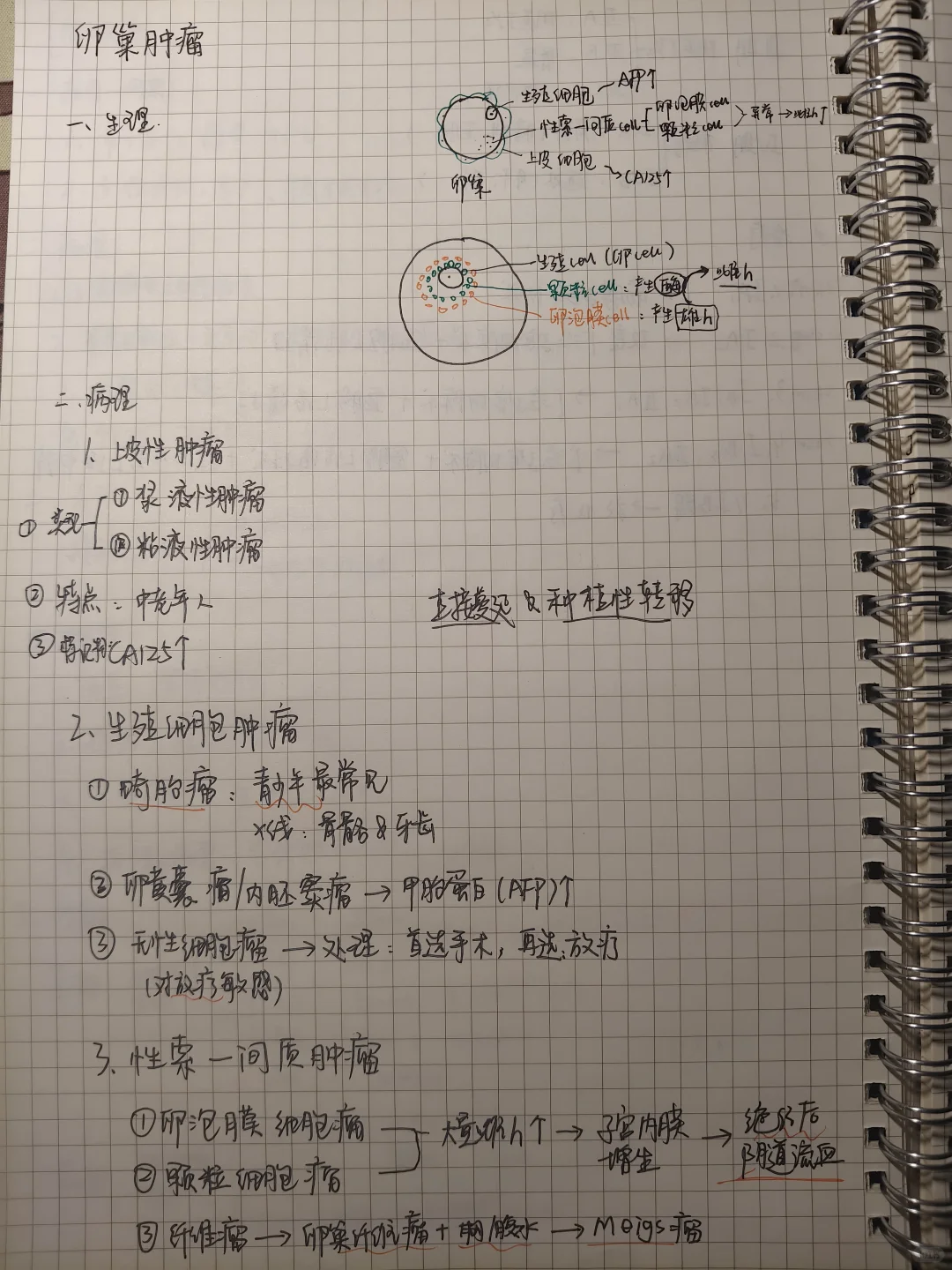 妇产科 卵巢肿瘤