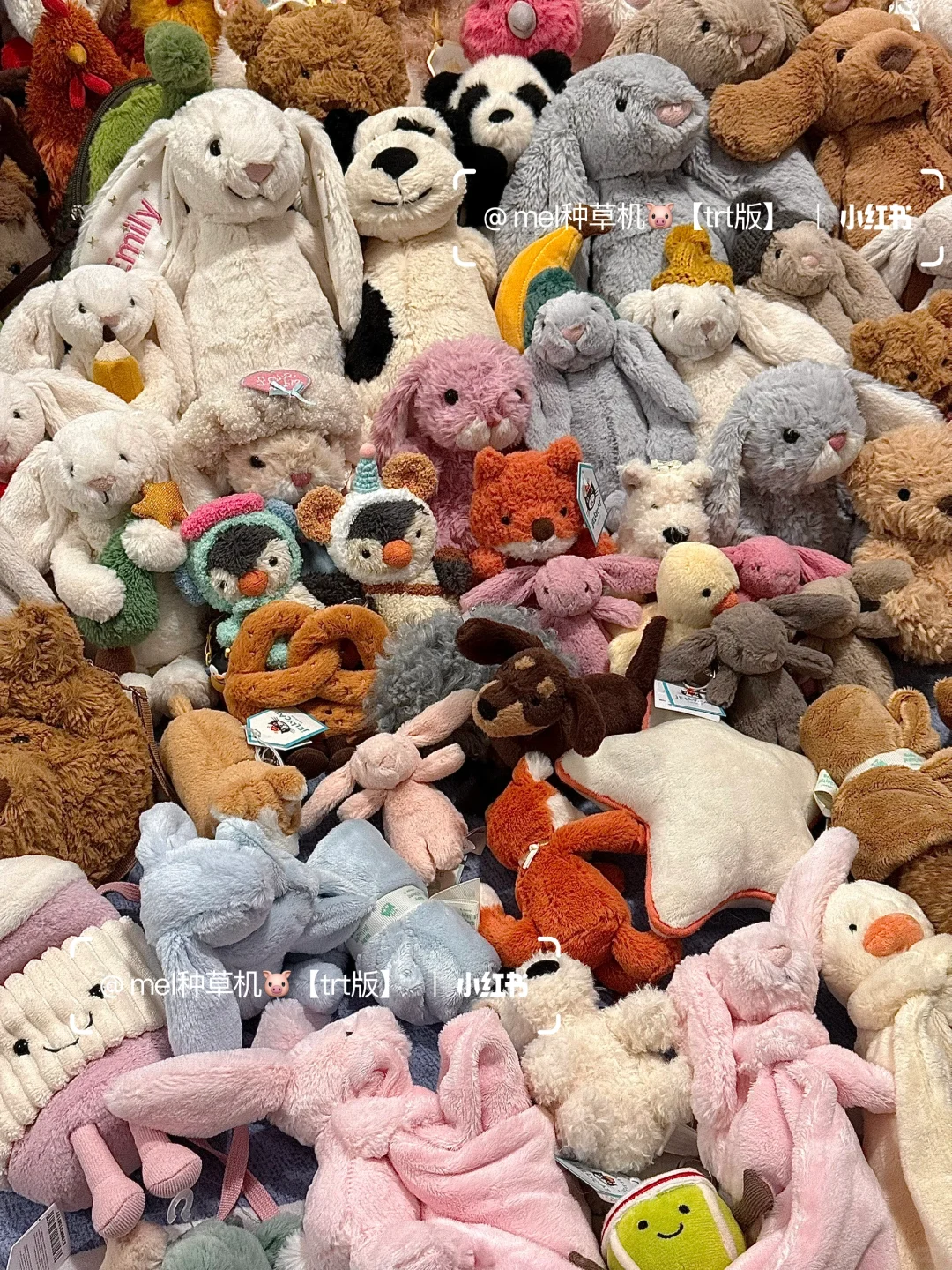 入坑jellycat一年老公买了155只玩偶给我?