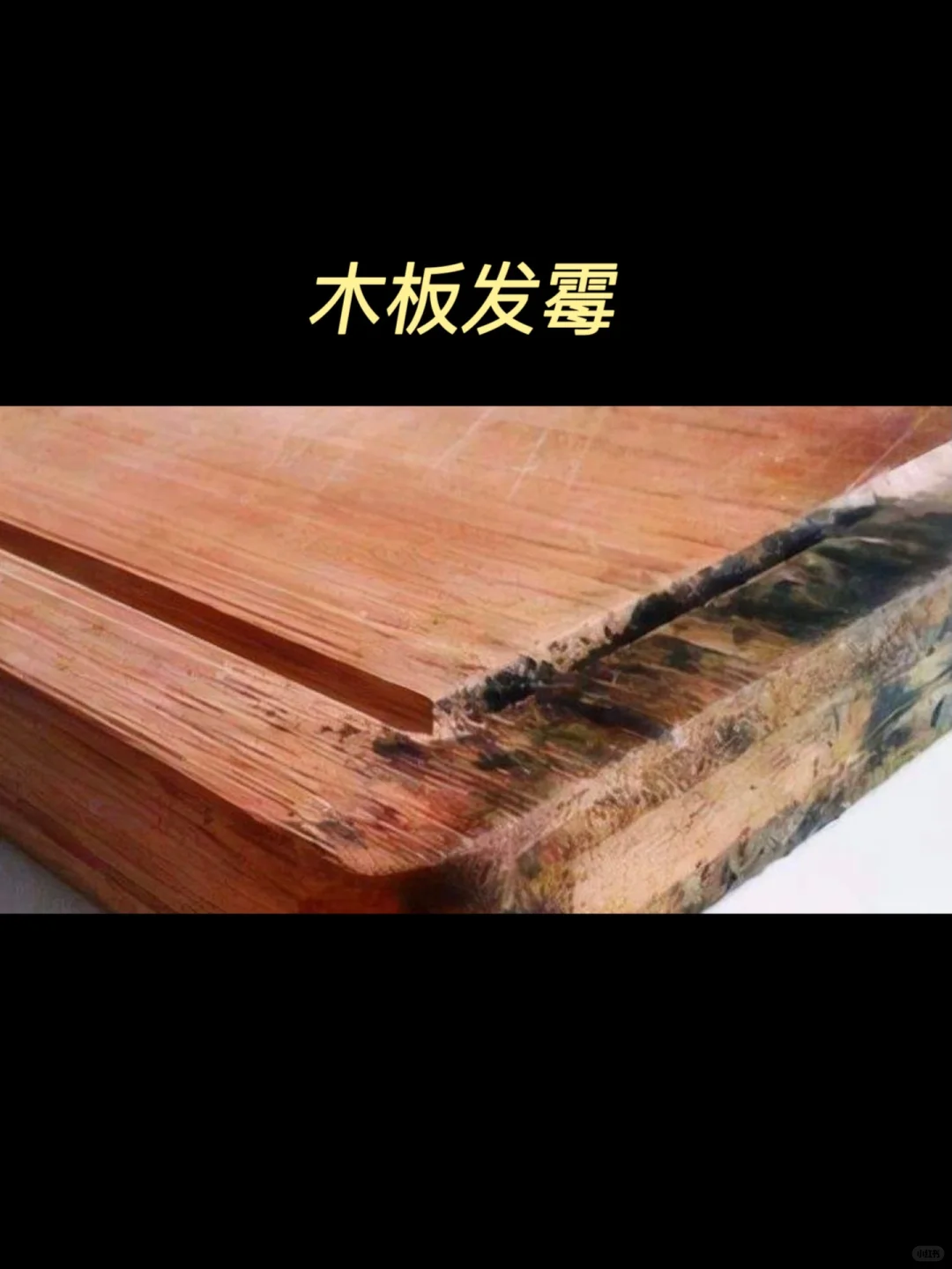 姐妹们!回南天装修,真的别搞砸了!