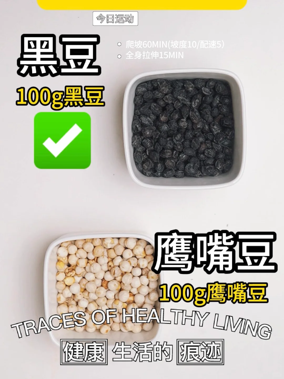 仙女必备零食好物