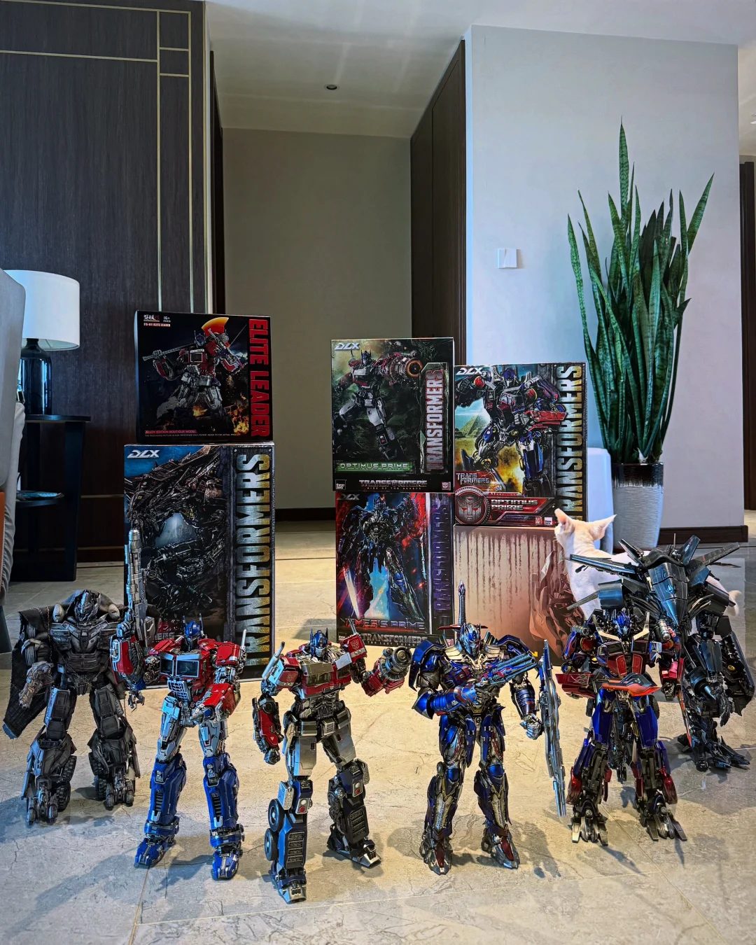 三十岁买点玩具怎么啦