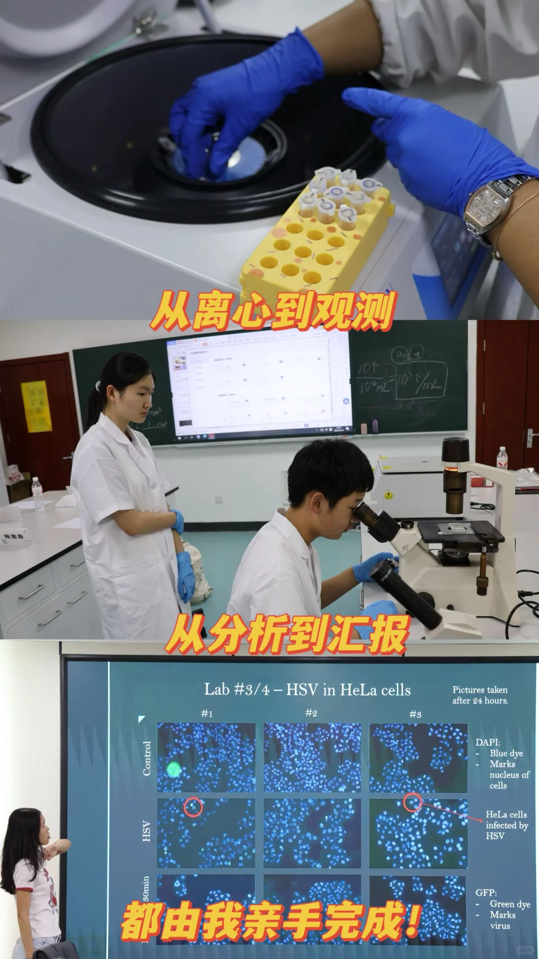 高中生的奇思妙想实验室!病毒是如何入侵?