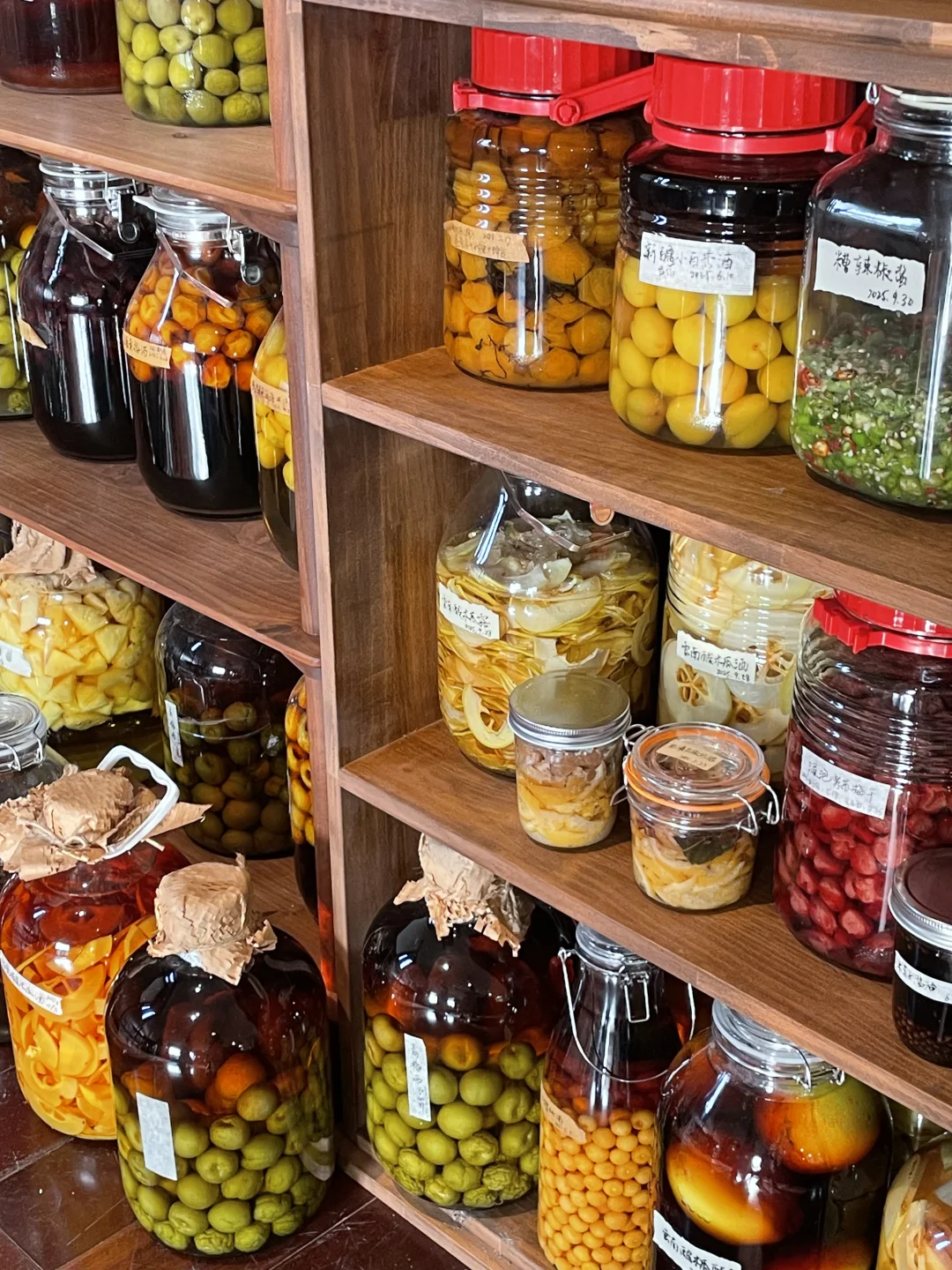 瓶瓶罐罐的我的生活