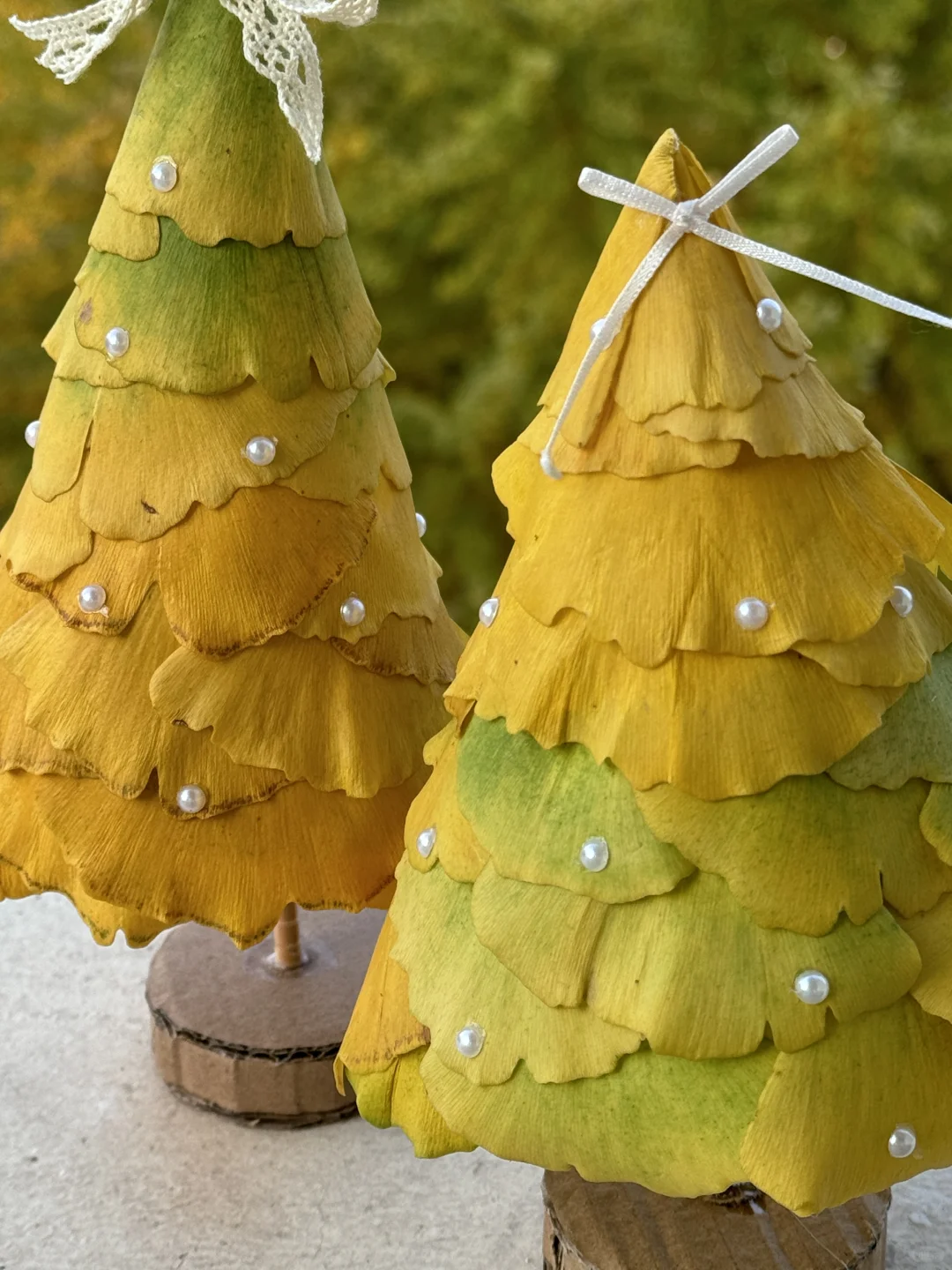 捡秋做圣诞树啦?（附工具和步骤图）