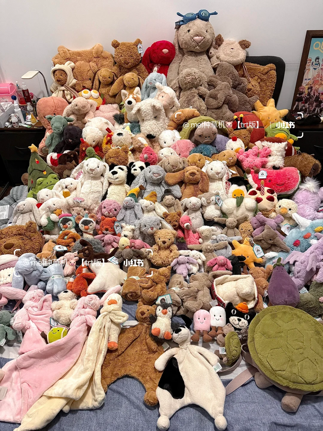 入坑jellycat一年老公买了155只玩偶给我?