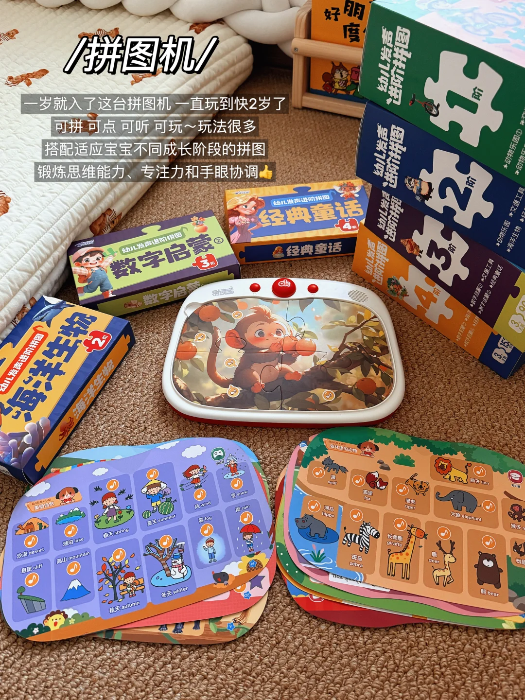 1岁+宝宝宅家玩不腻的玩具们?爱玩不闲置～