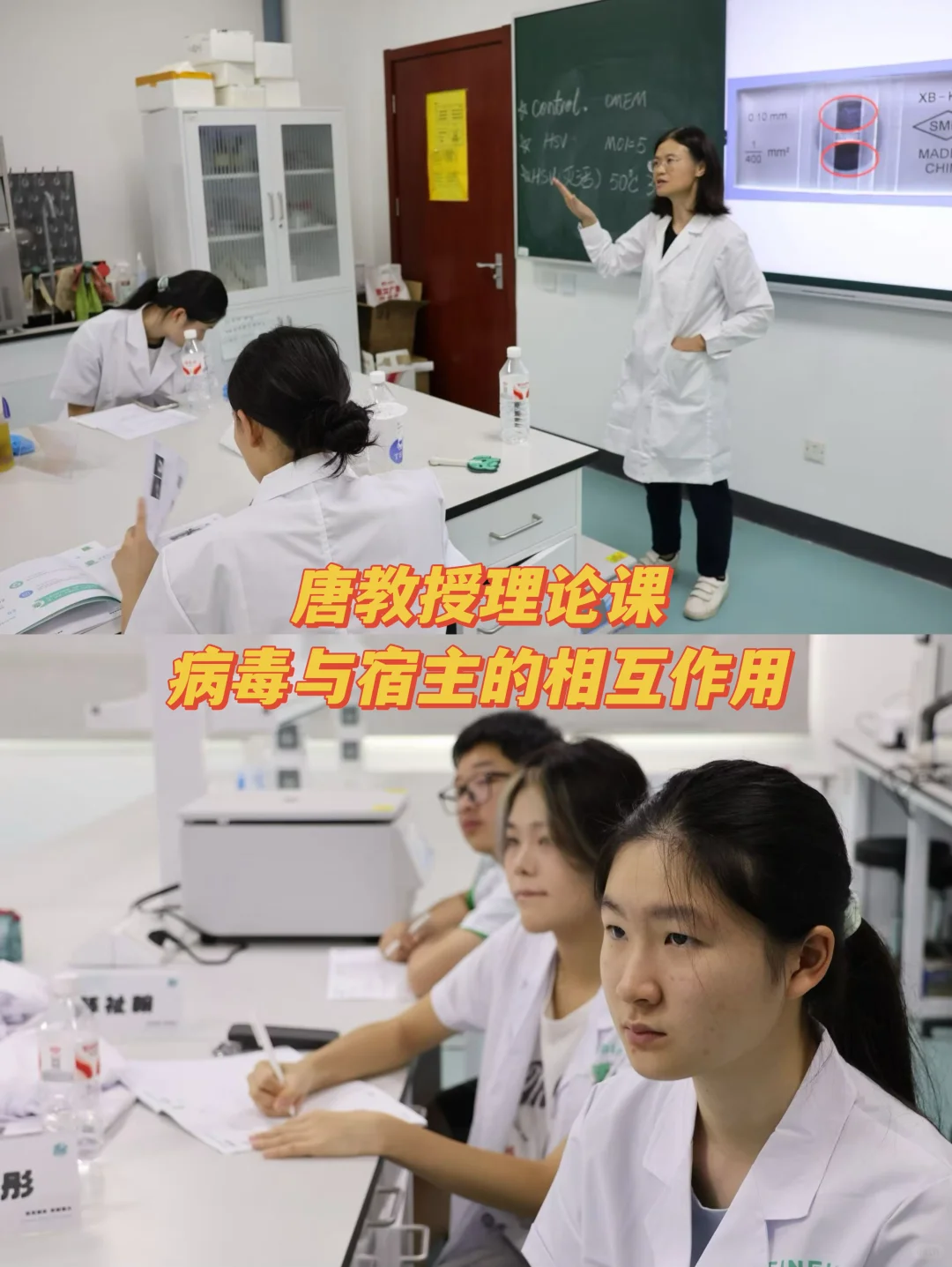 高中生的奇思妙想实验室!病毒是如何入侵?