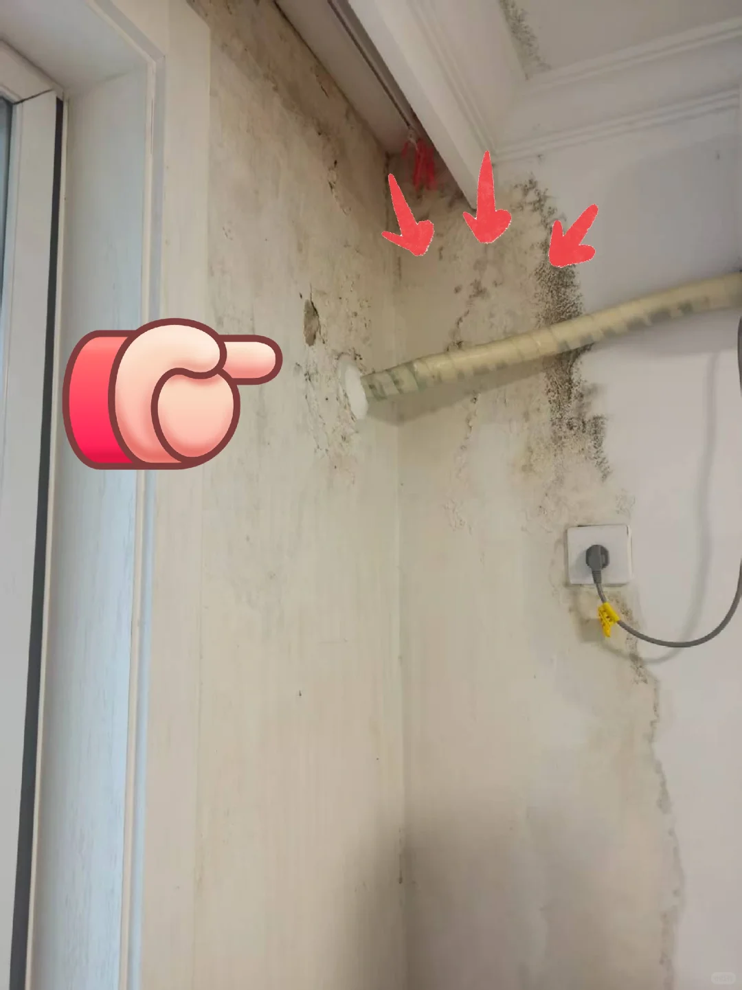 墙面发霉为什么不能直接刷漆?