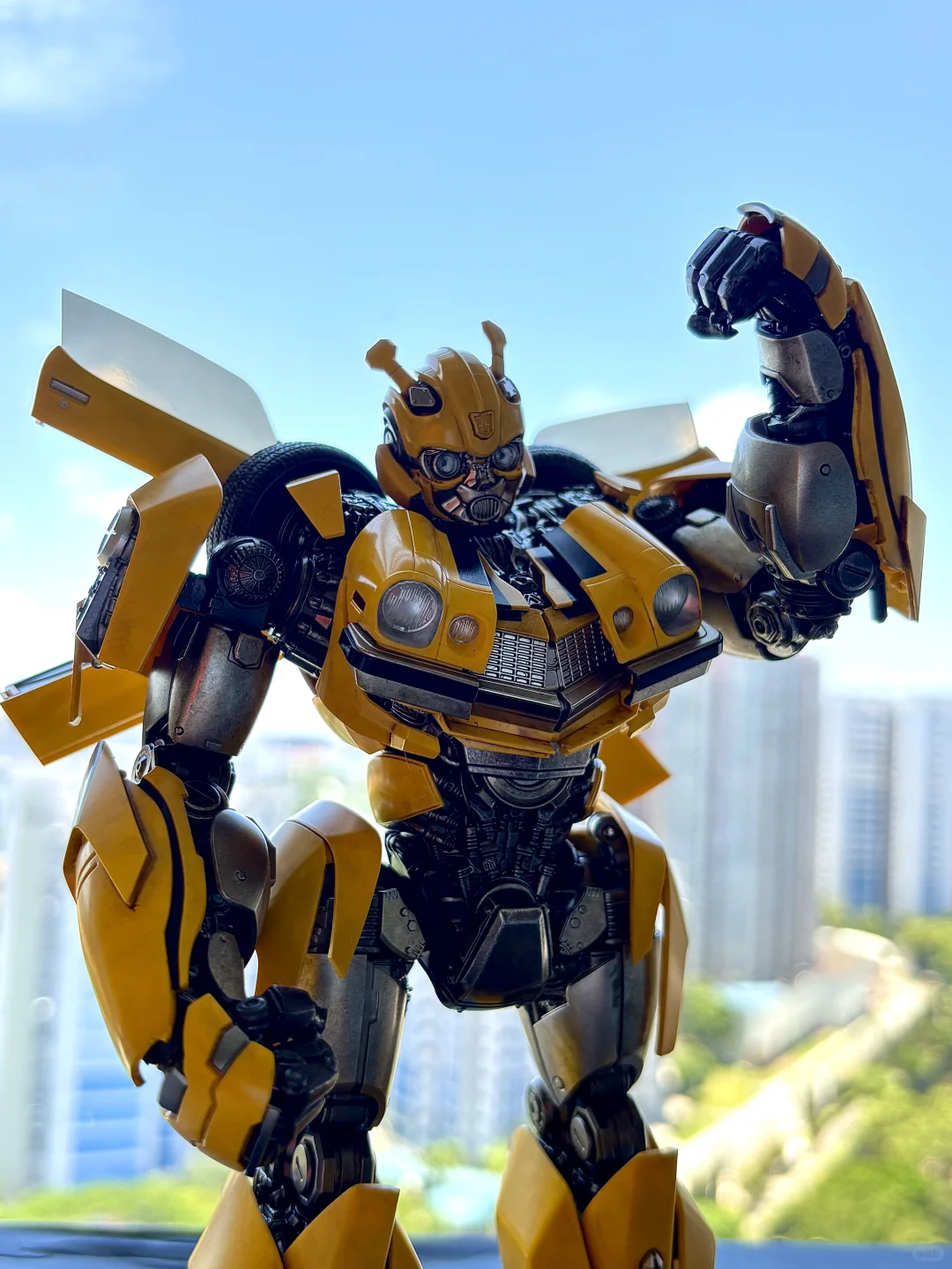 入坑第一只 Bumblebee
