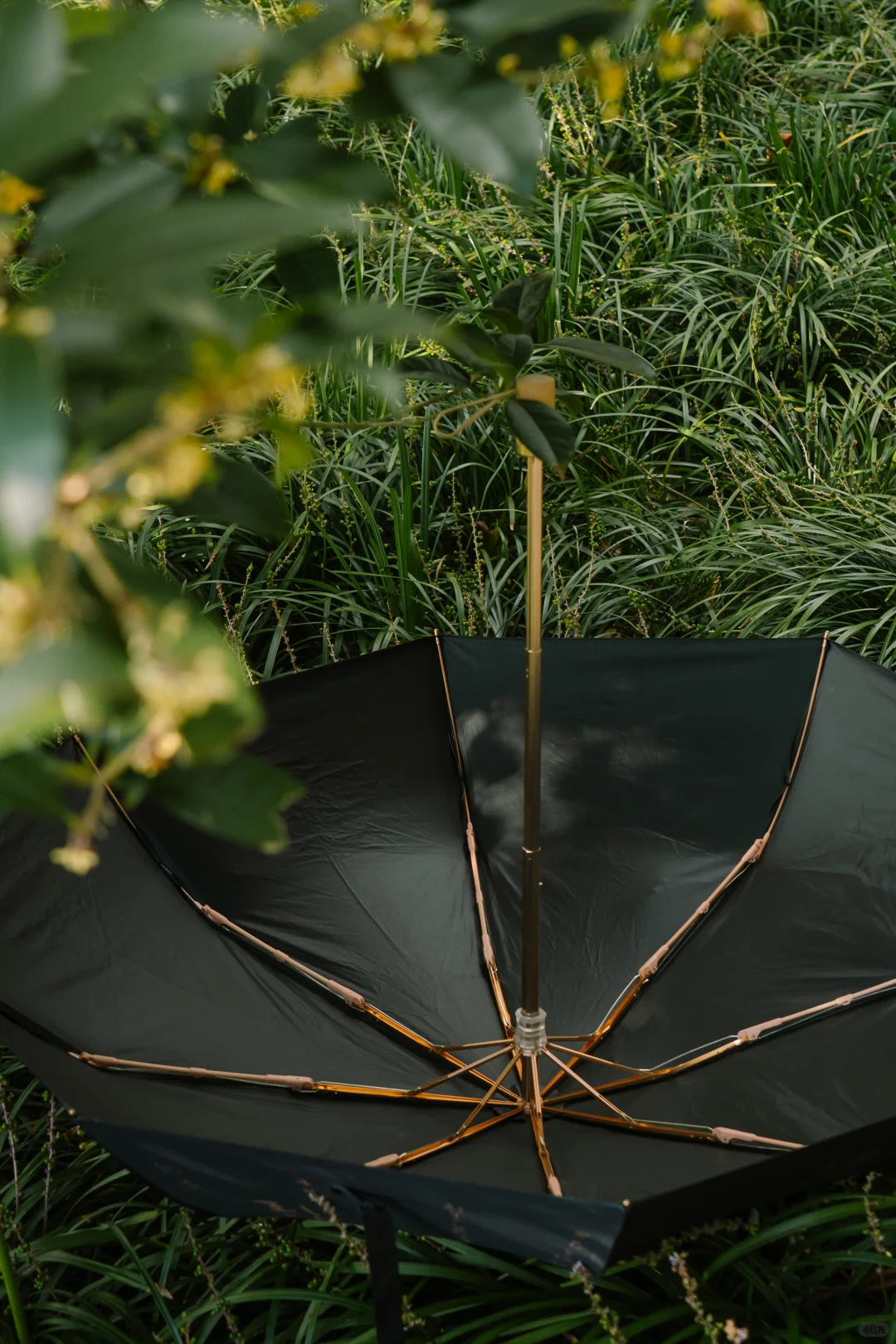 普陀山文创｜撑上这把伞自带氛围感！