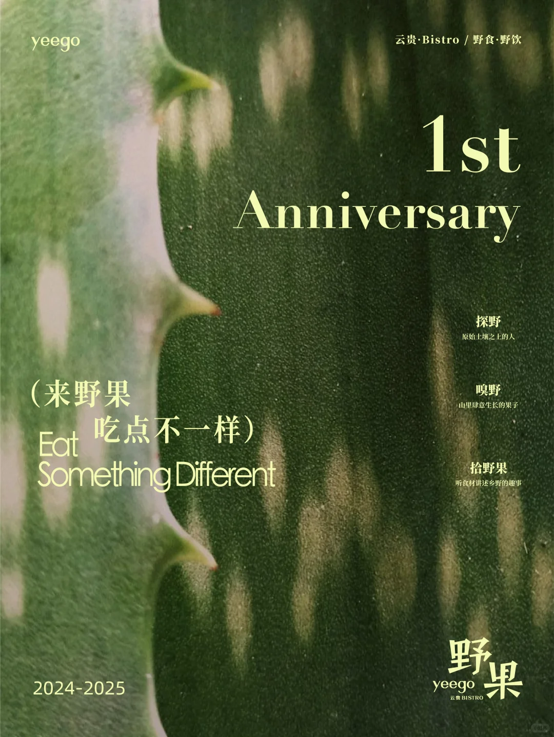 寻人启事❗ 如果你也爱野果❗