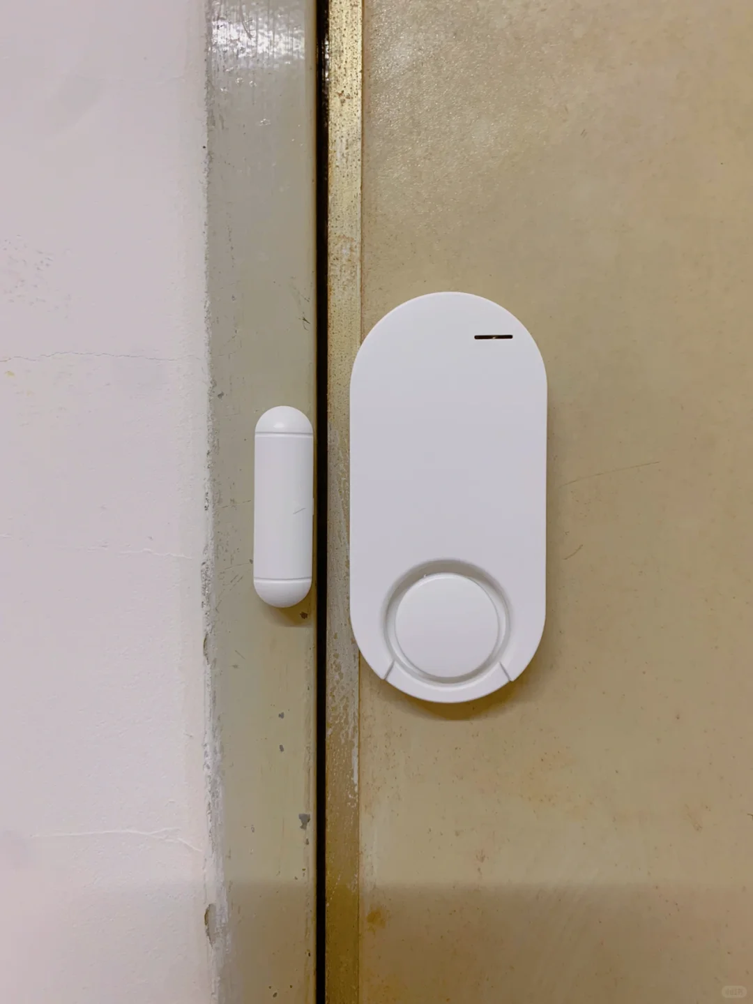 请大数据把我推给所有独居女孩！