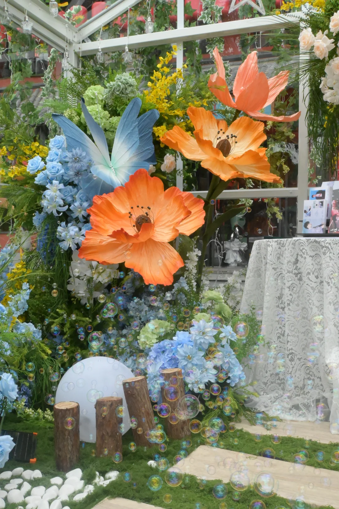 好看说了一万遍！！