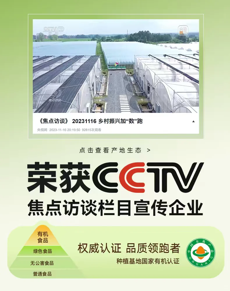 不是所有南瓜都是有机种植～可溯源产地的