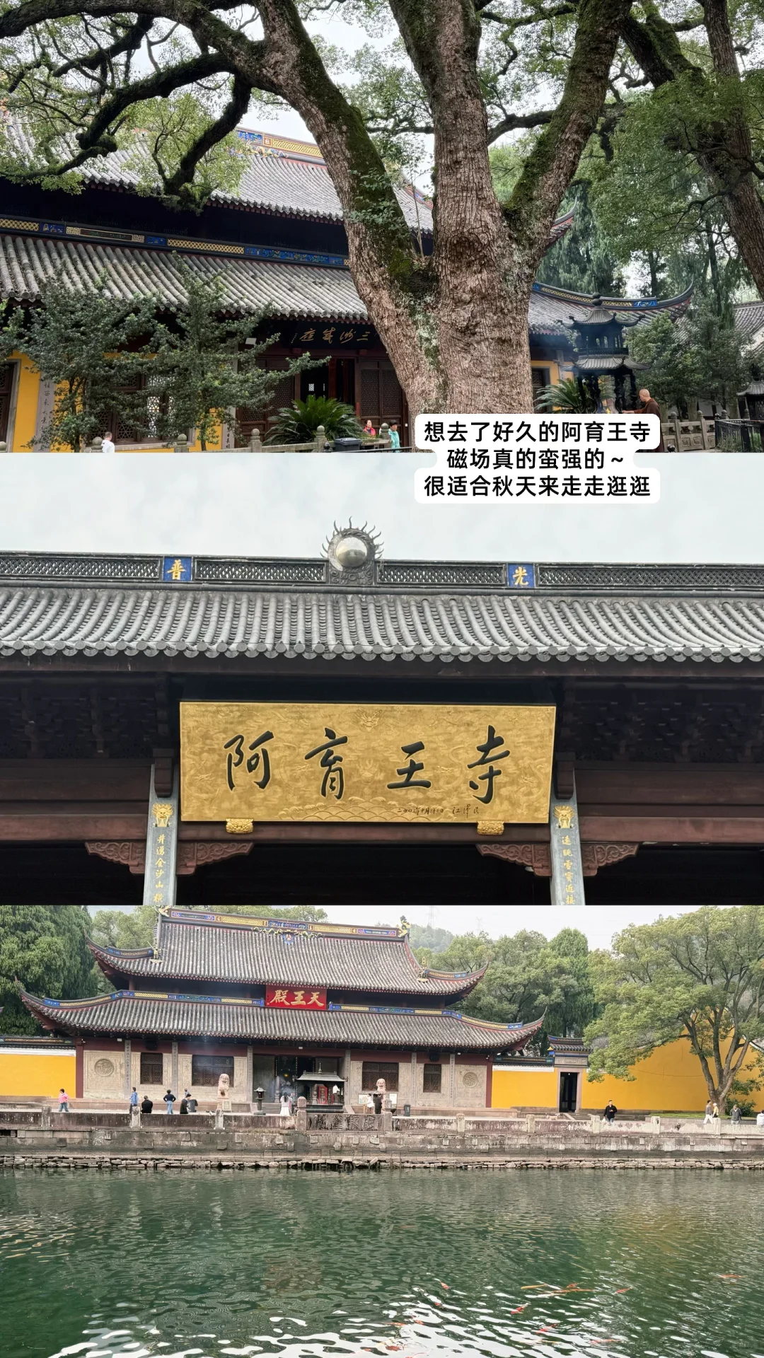 ?00后外贸plog｜宁波500强&新人客户开发法～