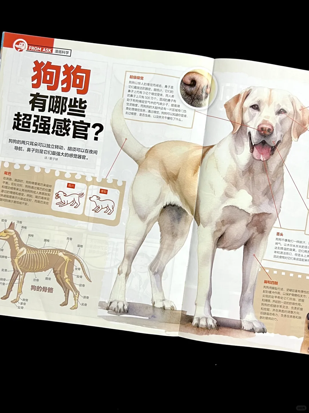 这本通识杂志让孩子追着问 “为什么”?