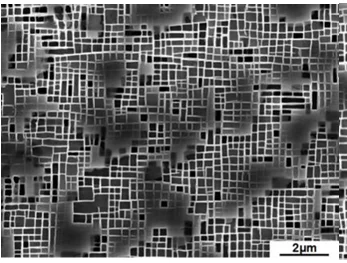 求助:镍基单晶高温合金微结构分析
