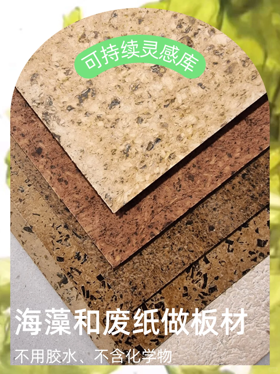 来自海洋的礼物：能吸碳，可降噪，可降解