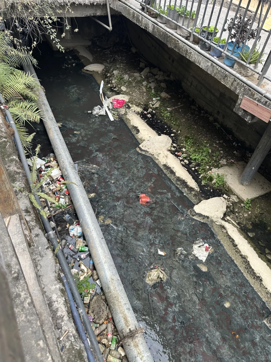 国家卫生县城乐业县的护城河