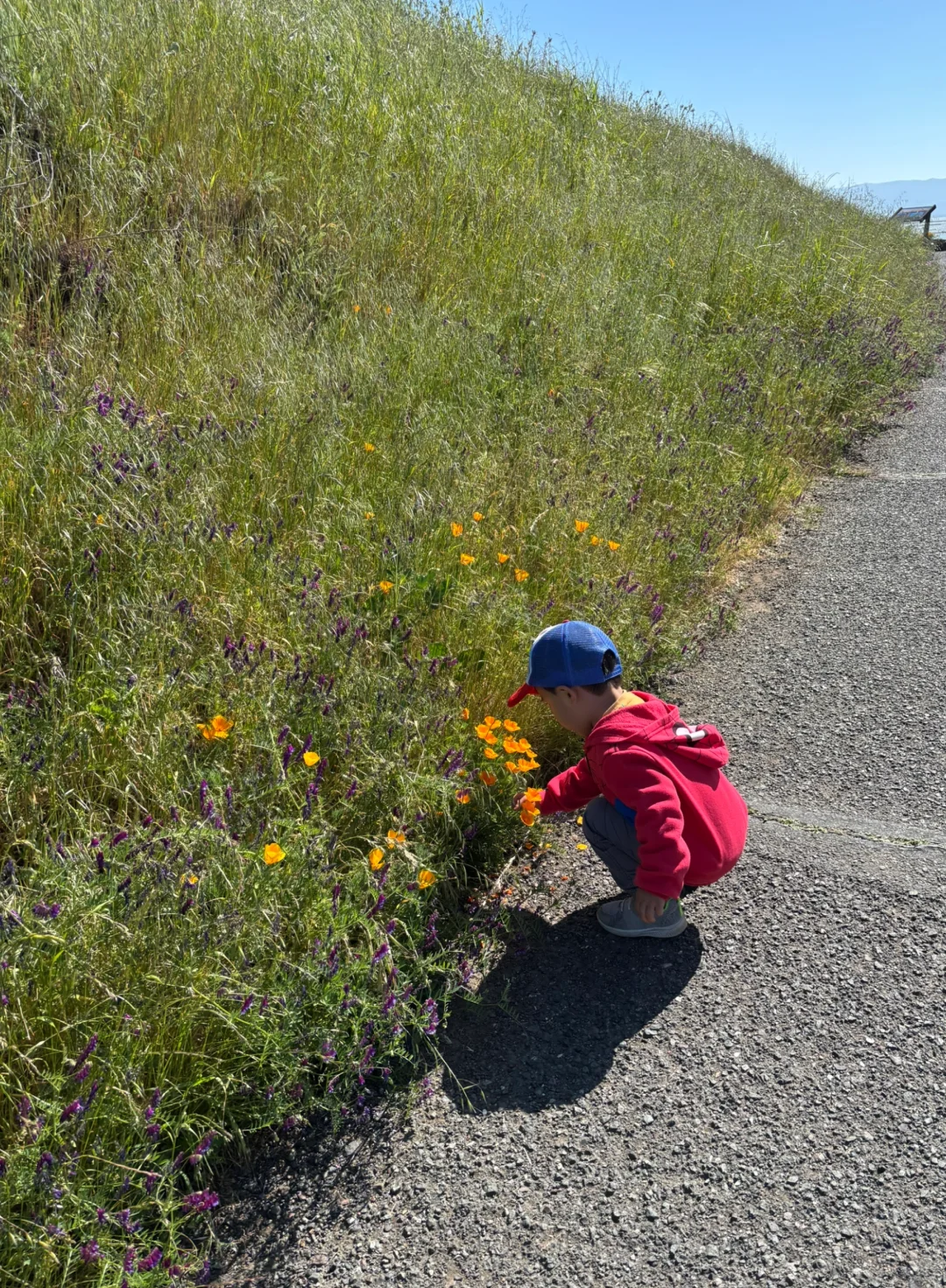 把春天收藏进树脂杯垫