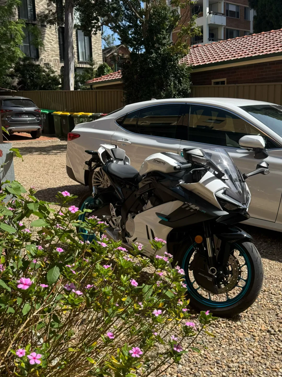 悉尼出春风675sr