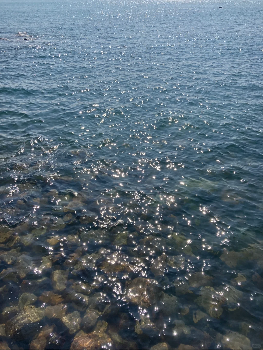 思考普通人日常有哪些能做的保护水资源方法