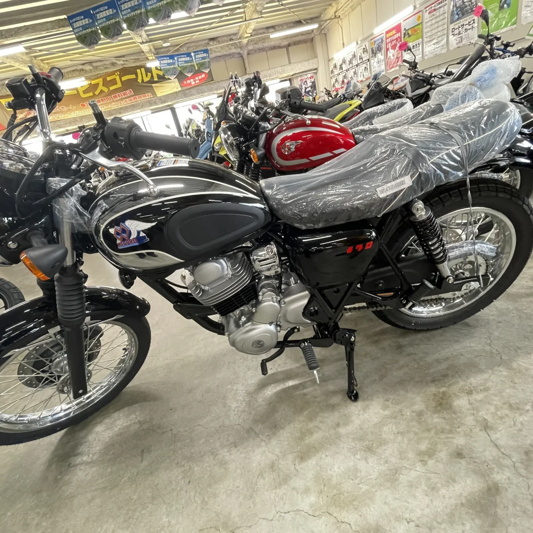 请在日摩托大佬们帮忙参谋一下谢谢?