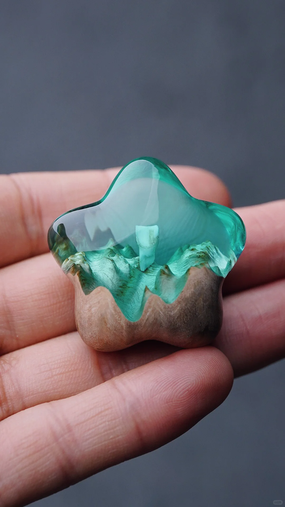 我被抄袭过最多的作品