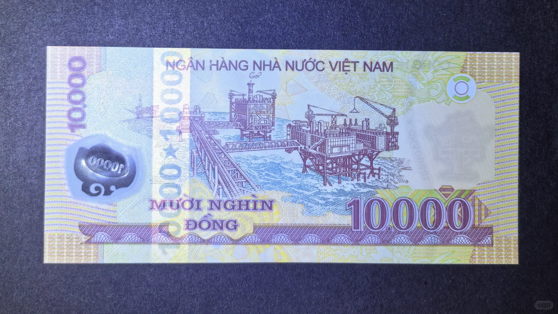 每日一钞：越南10000盾塑料钞