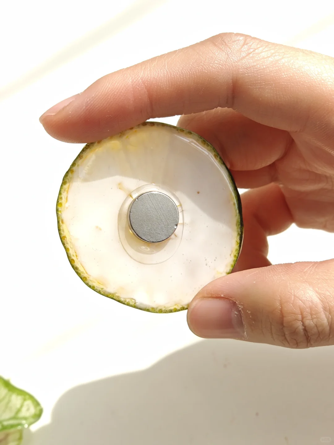 水果做的冰箱贴