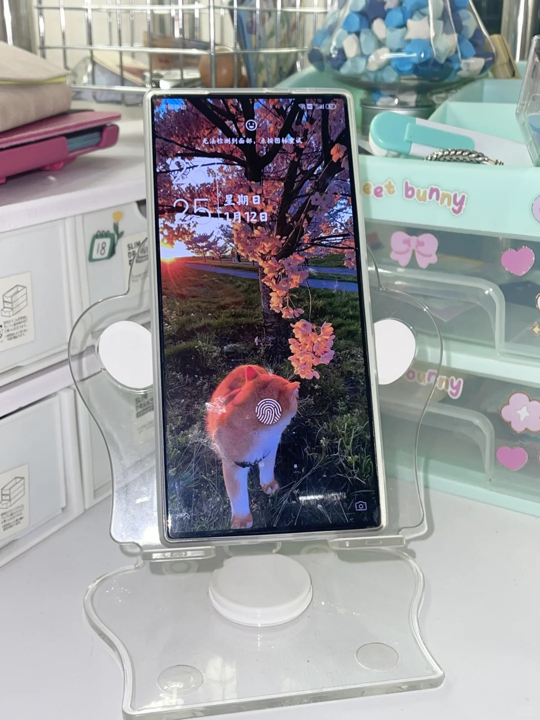 我的数码全家福