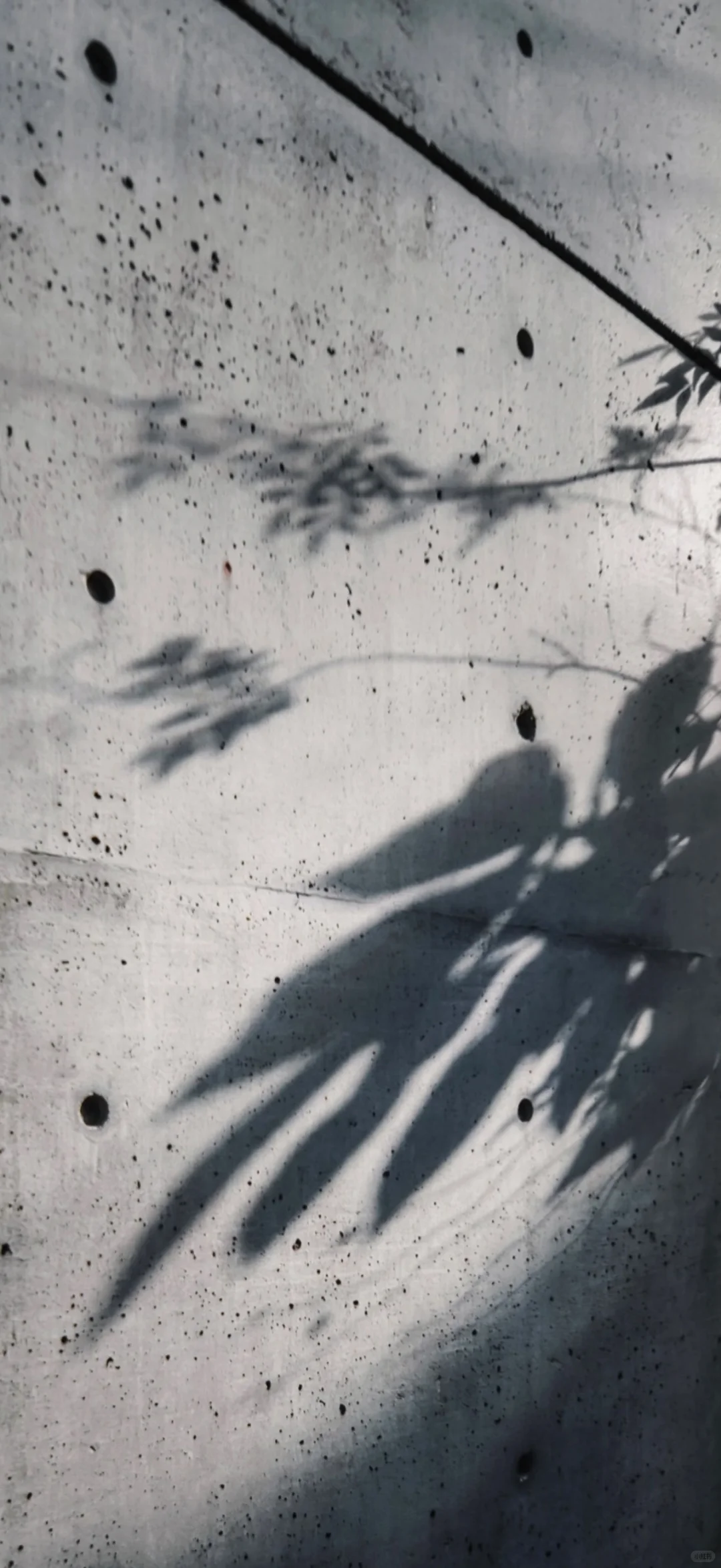 龟一 清水混凝土