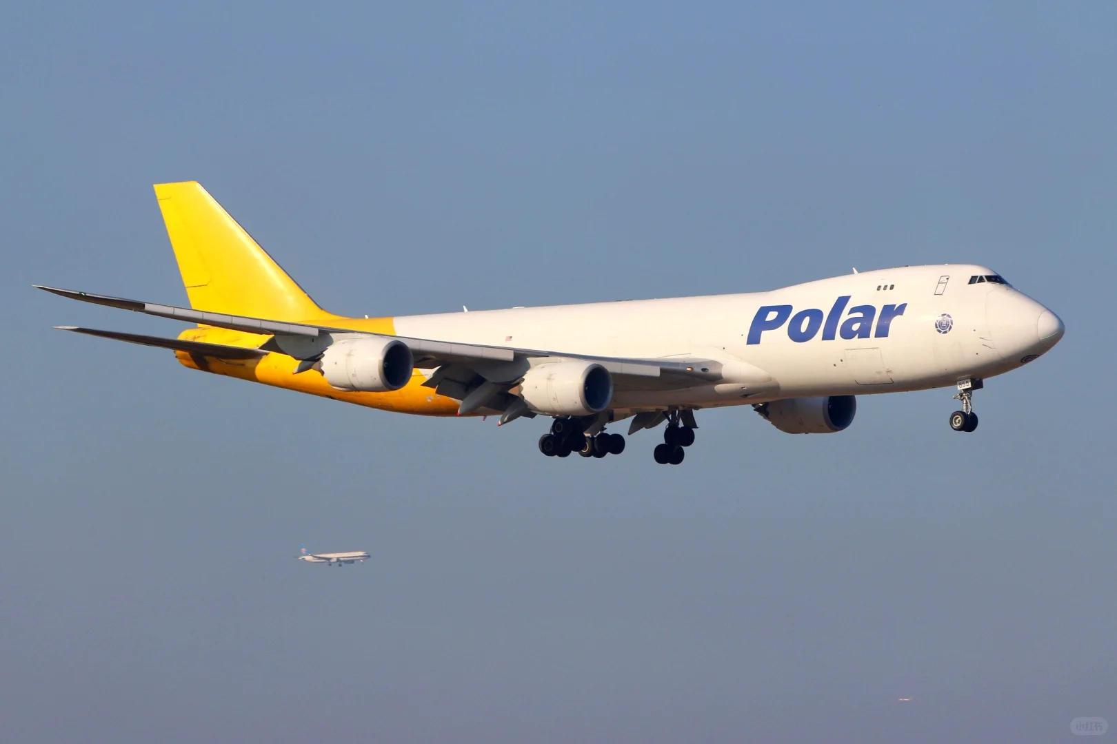 龙年解锁的那些748F货机集