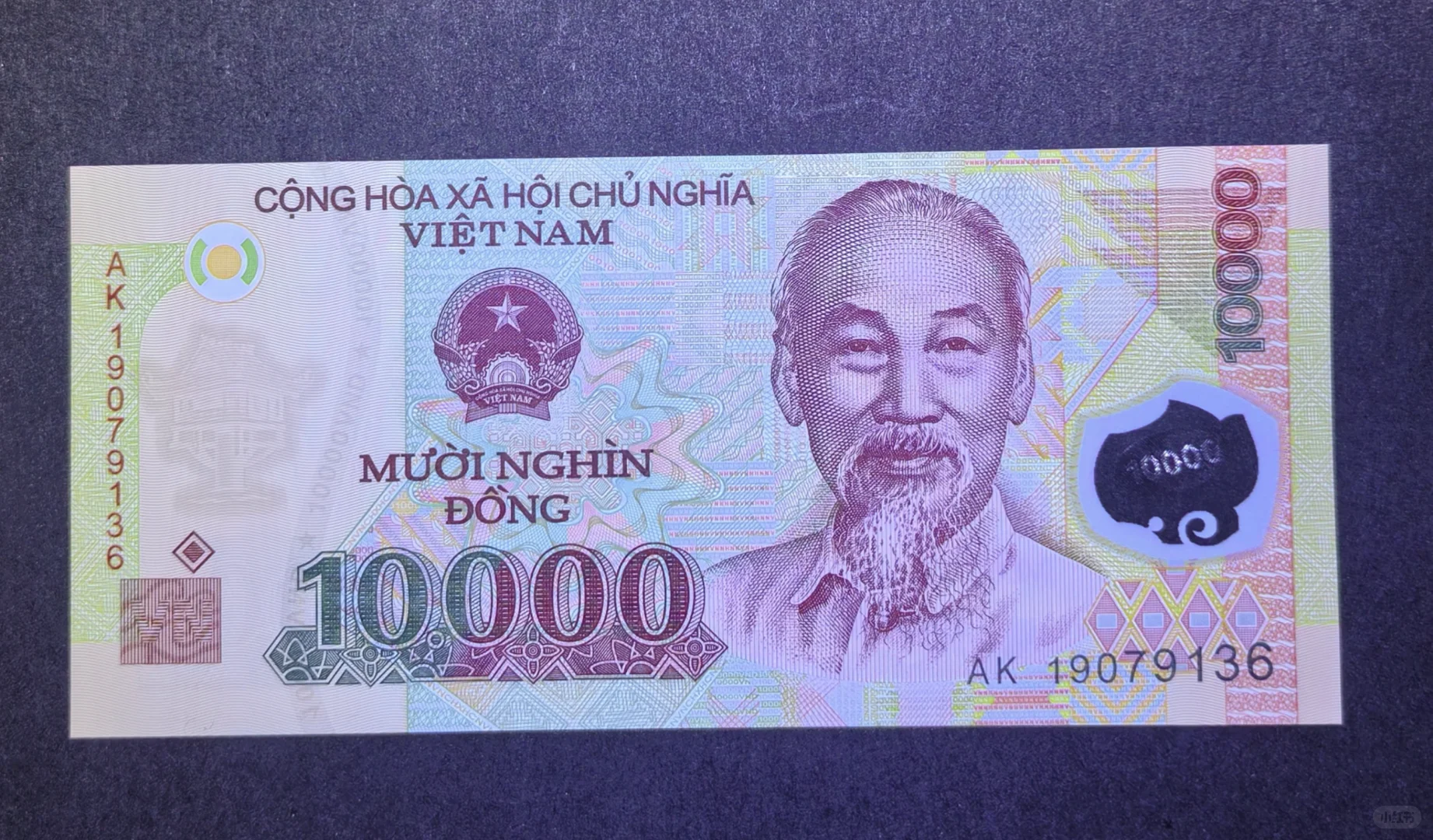 每日一钞：越南10000盾塑料钞