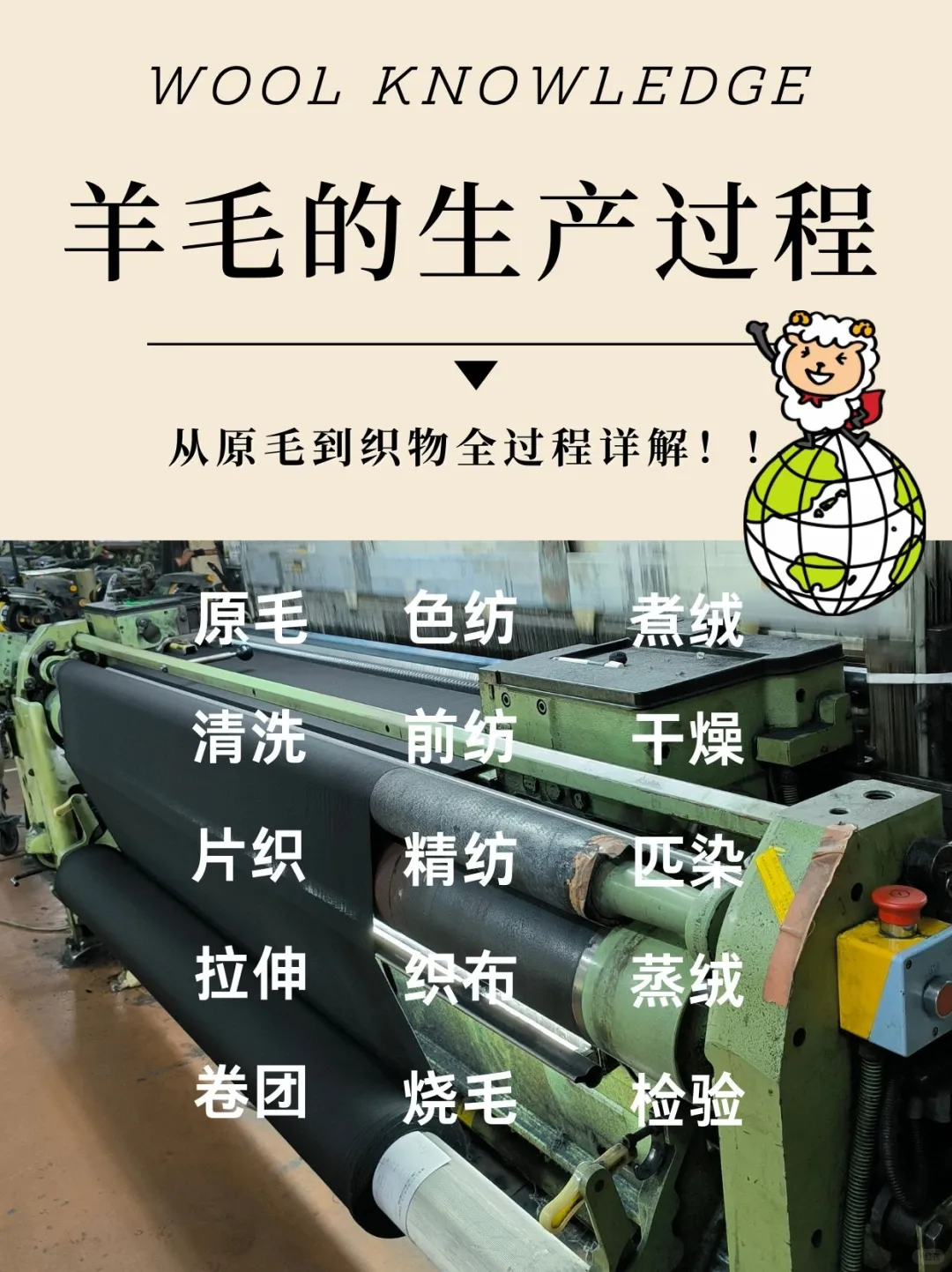 深入工场内部|从原毛到织物全过程讲解