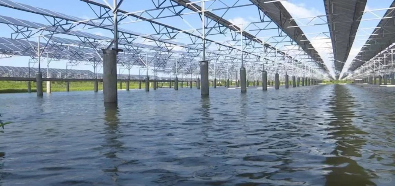 智能化水产养殖的实现