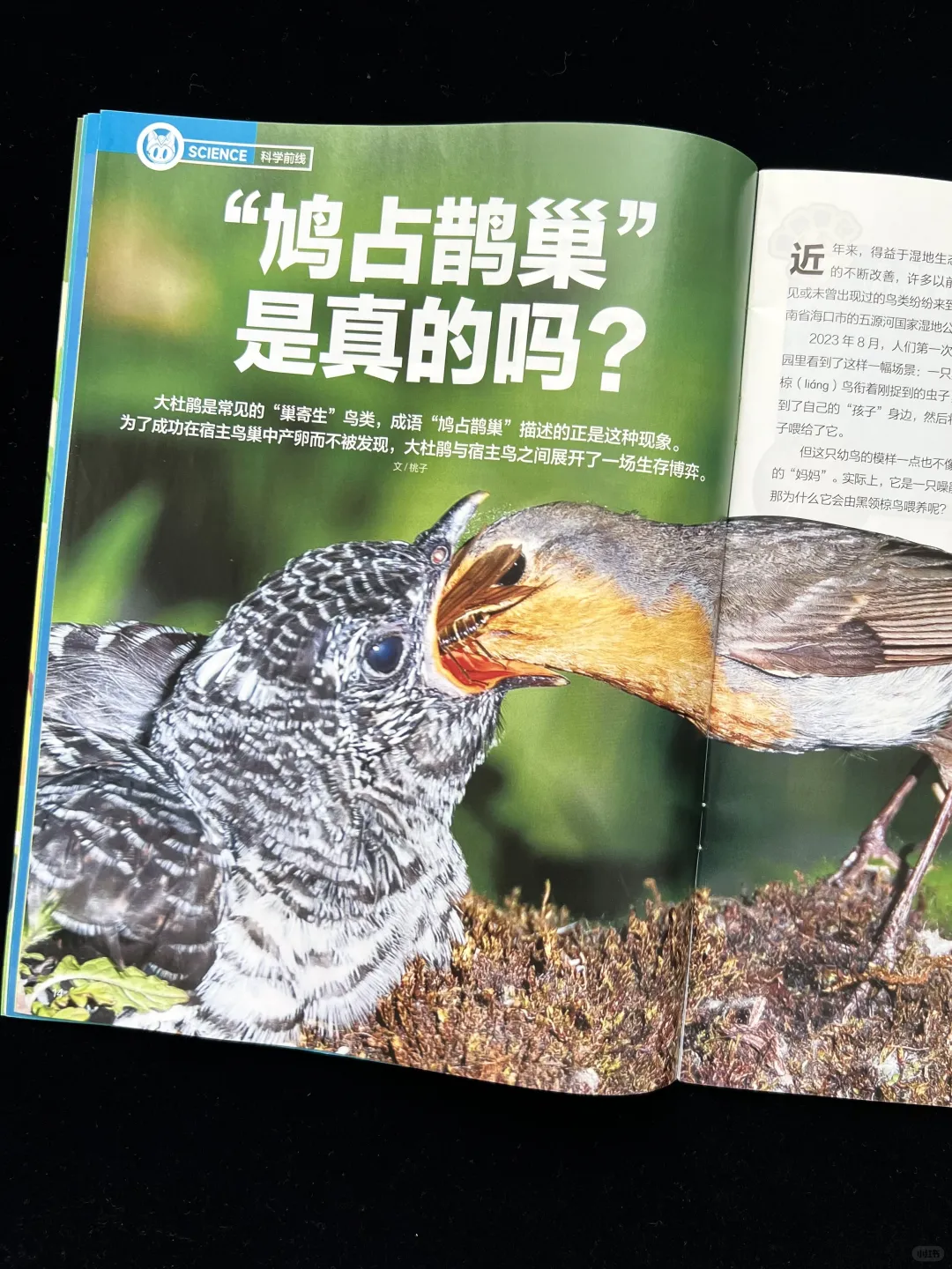 一份杂志 = 科学刊 + 历史刊，双倍知识暴击