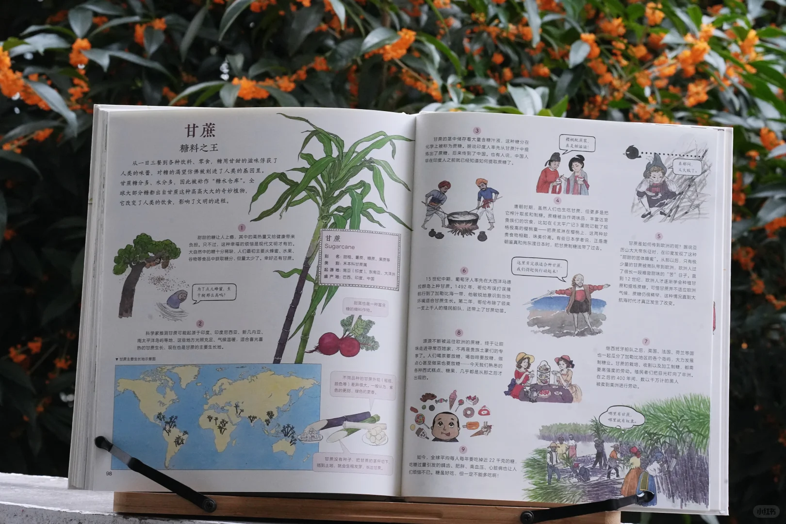 一起踏上作物之旅|一本科普绘本