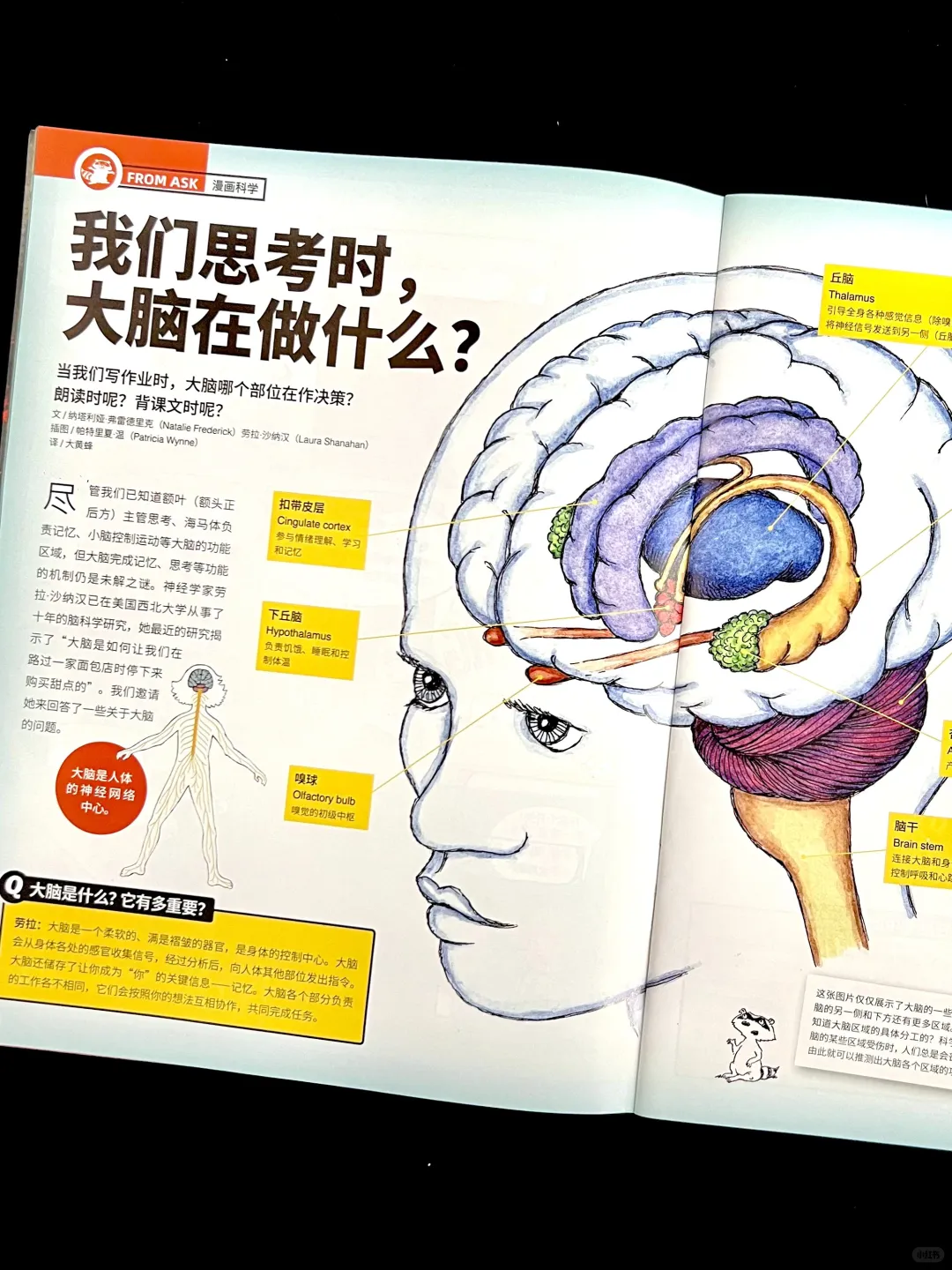 这本通识杂志让孩子追着问 “为什么”?